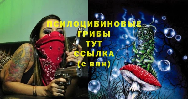 прущая мука Кодинск