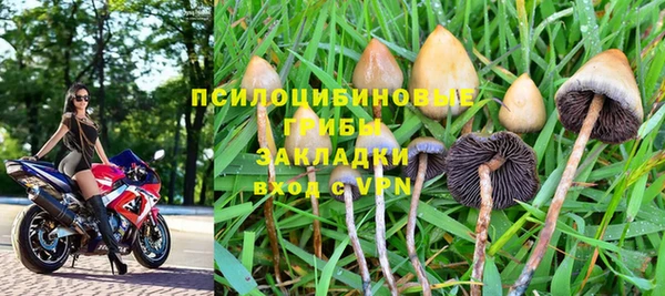 герыч Козловка