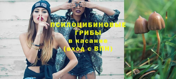 герыч Козловка